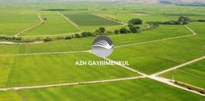 Arsa